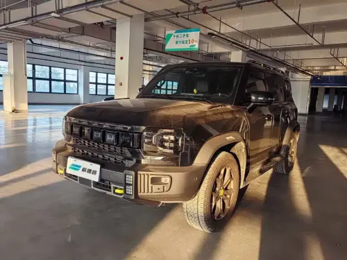 Jetour Traveler, 2024