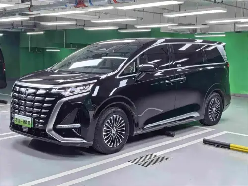 Denza D9, 2025