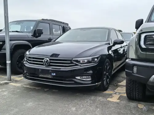 Volkswagen Magotan, 2021