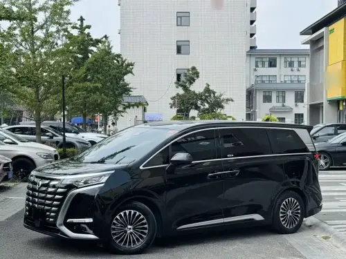 Denza D9, 2024