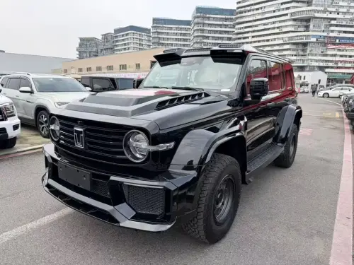 Tank 300, 2022