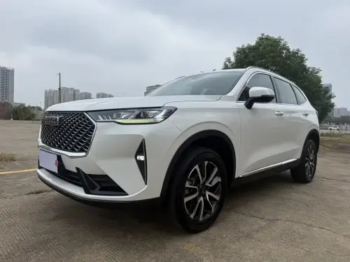 Haval H6, 2024
