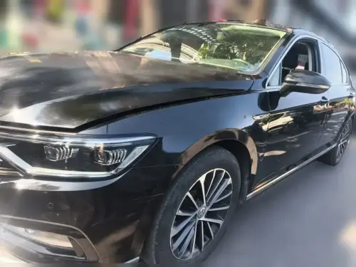 Volkswagen Magotan, 2020