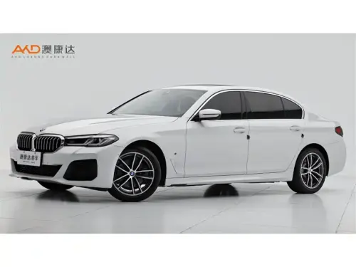BMW 5-Series, 2020