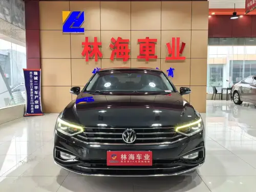 Volkswagen Magotan, 2020