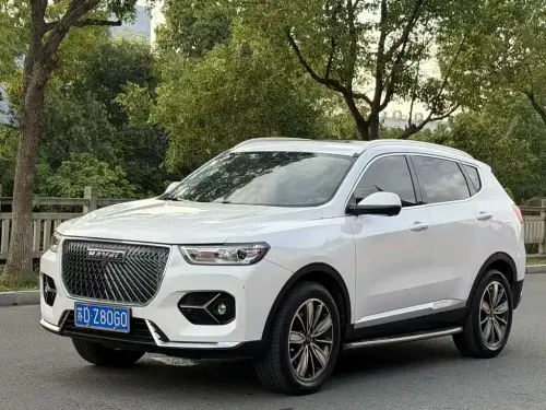 Haval H6, 2020