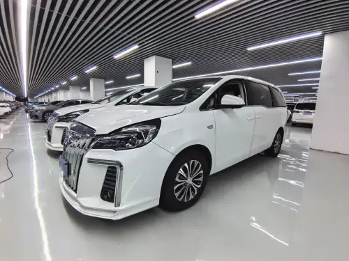 Buick GL8, 2020