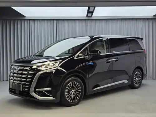 Denza D9, 2024