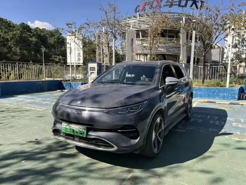 Denza X, 2021