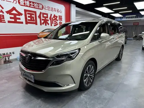 Buick GL8, 2020