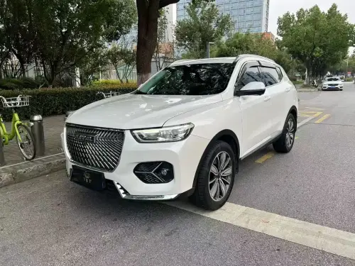 Haval H6, 2020