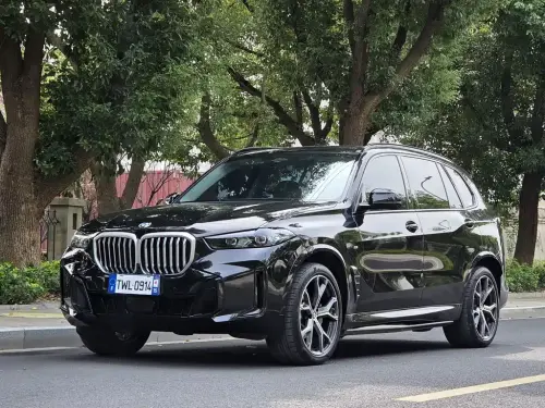 BMW X5, 2025