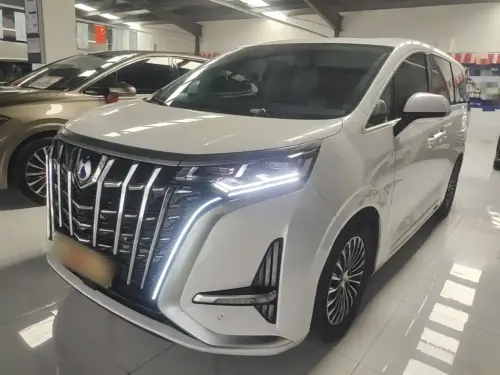 Denza D9, 2024