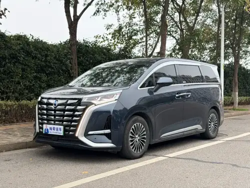 Denza D9, 2024