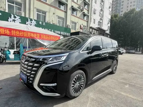 Denza D9, 2024