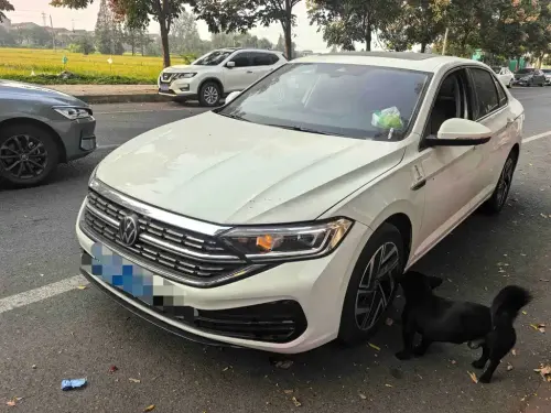 Volkswagen Sagitar, 2024