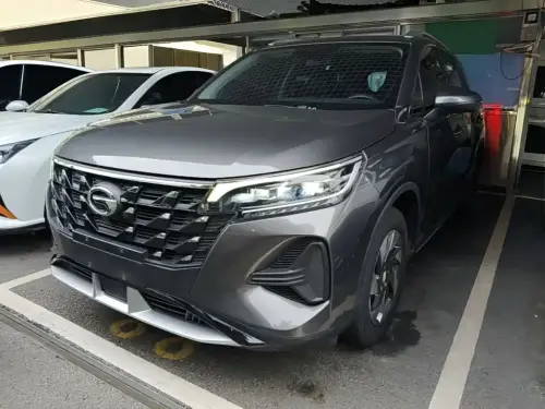 GAC GS4, 2022