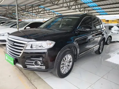 Haval H6, 2020