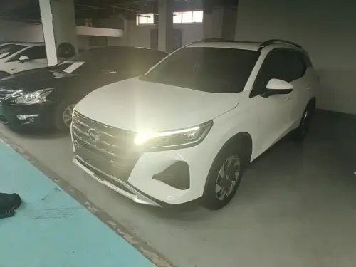 GAC GS4, 2020