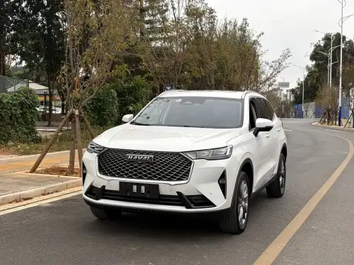 Haval H6, 2021