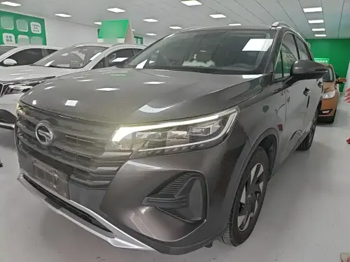 GAC GS4, 2020