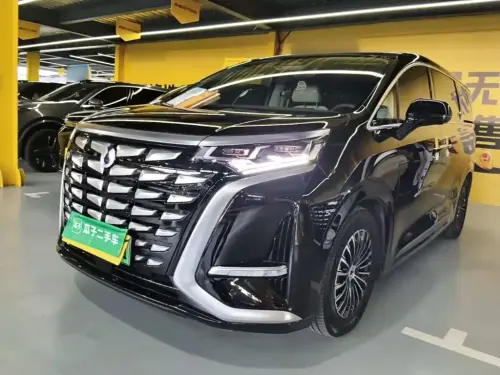 Denza D9, 2024