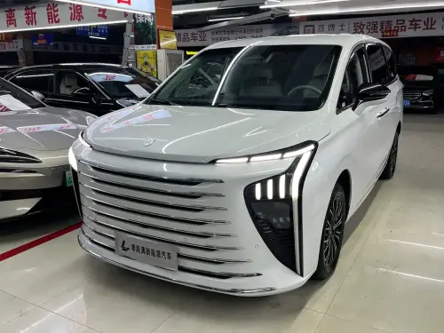 Dongfeng Xinghai V9, 2024