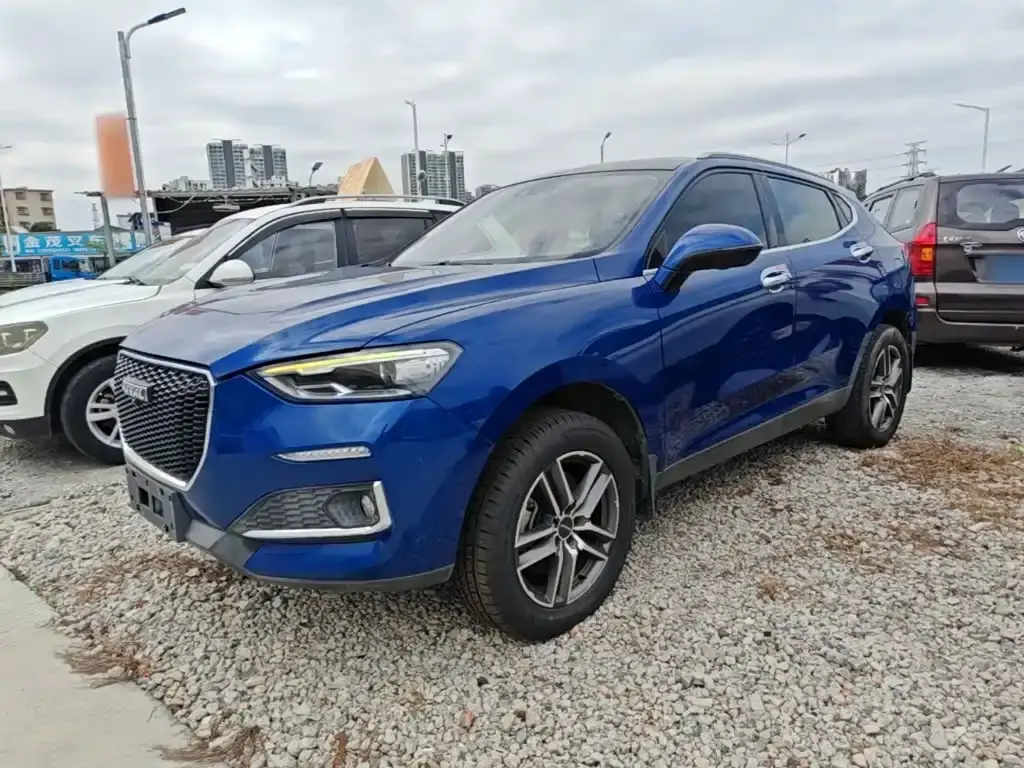 Haval F5, 2020