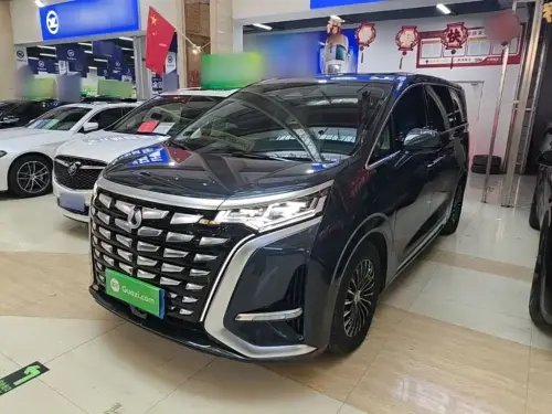 Denza D9, 2024