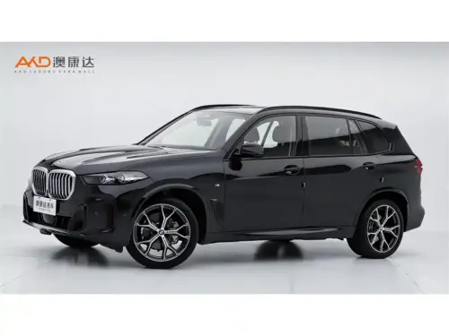 BMW X5, 2025