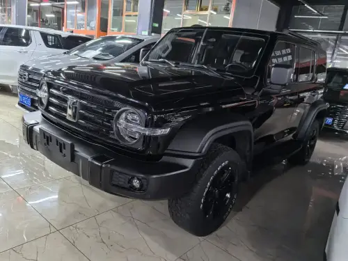 Tank 300, 2021
