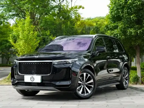 Li Auto ONE, 2020