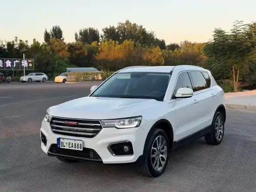 Haval H7, 2020