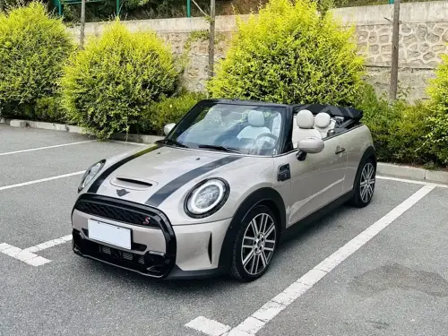 Mini MINI, 2022