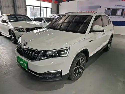 Skoda Kamiq, 2024