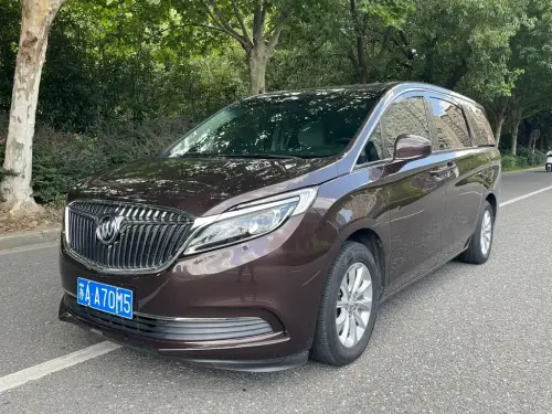 Buick GL8, 2019