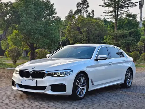 BMW 5-Series, 2020