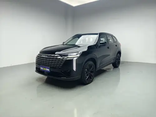 Haval H6, 2024
