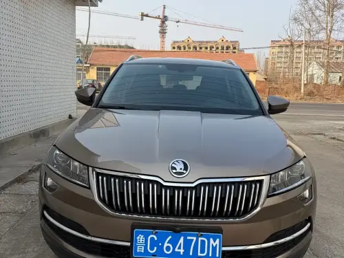 Skoda Karoq, 2021