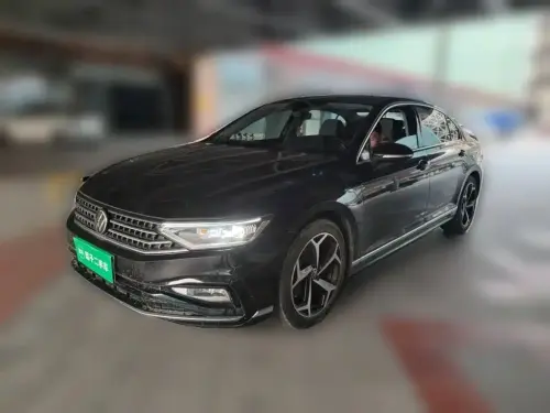Volkswagen Magotan, 2024