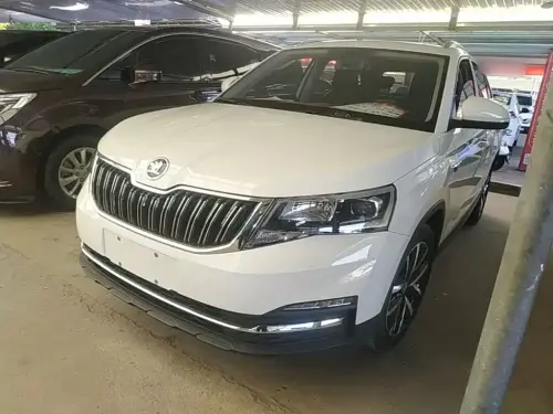 Skoda Kamiq, 2020