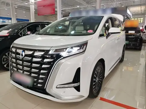 Denza D9, 2023