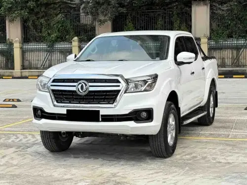 Dongfeng Ruiqi, 2020