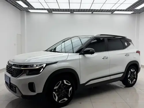 Kia Seltos, 2024