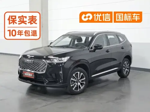 Haval H6, 2021