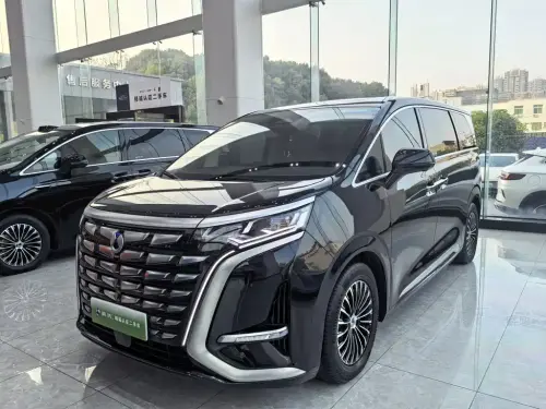 Denza D9, 2024