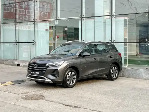 GAC GS4, 2020
