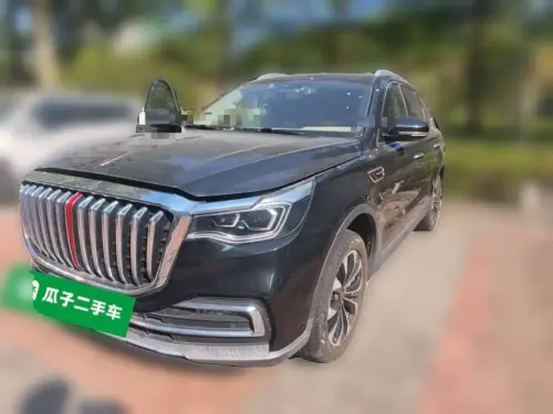 Hongqi HS7, 2020