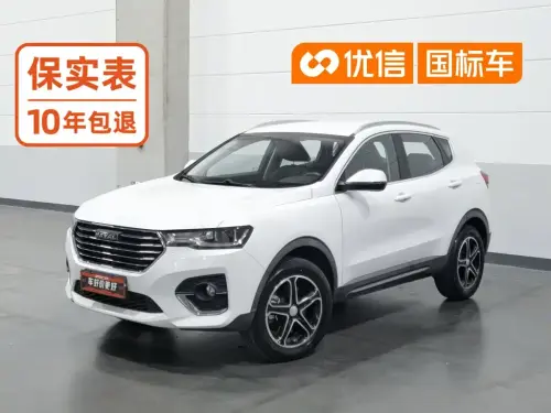 Haval H4, 2020