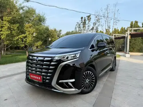 Denza D9, 2024
